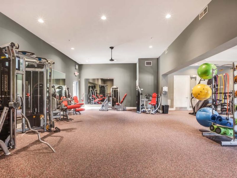 This image shows an expansive view of the fitness gym equipment for strength and chest workout.