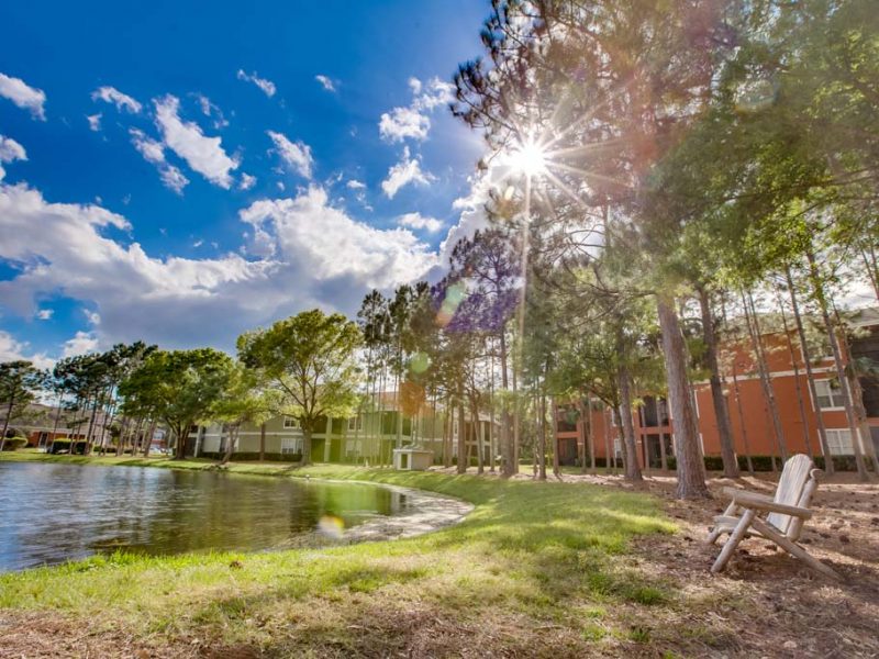 This image shows the pond view of the TGM Palm Aire Apartment that offers a tranquil environment. It's far enough from the hustle and bustle surrounding.