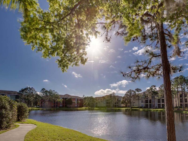This image shows the stunning pondside view of TGM Palm Aire Apartments. It features walking isle and spectacular surroundings.