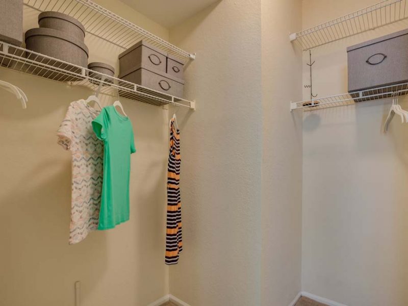 This photo shows the spacious walk-in closets with unique storage.